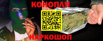 прущие грибы Лесосибирск
